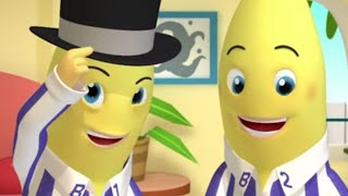 Animated Compilation 6  Full Episodes  Bananas In Pyjamas Official [upl. by Eelanej354]