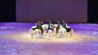 Le Lipizzan Elevage Philip [upl. by Siubhan872]