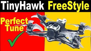 Emax TinyHawk FreeStyle  Range Test  How Far can we fly it [upl. by Lennard]