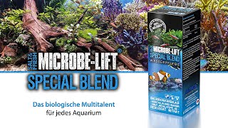 DER Weg für dein perfektes Aquarium  𝗠𝗜𝗖𝗥𝗢𝗕𝗘𝗟𝗜𝗙𝗧 𝗦𝗽𝗲𝗰𝗶𝗮𝗹 𝗕𝗹𝗲𝗻𝗱  Bakterien  100 biologisch [upl. by Crowell]