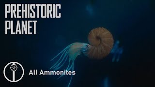 All Ammonites in Prehistoric Planet [upl. by Merriott]