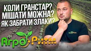 АЛЬДАЗОР БУРЯН АТАКУЄ СОНЯШНИК ВСЕ ПРО ГЕРБІЦИДНИЙ ЗАХИСТ ЗА 10 ХВИЛИН альдазор фермер [upl. by Ekrub]