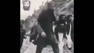 Afghan taliban WhatsApp status part 1 [upl. by Hannah780]