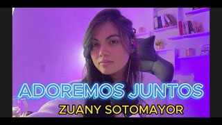 ZUANY SOTOMAYOR MUSICA PARA ORAR [upl. by Atikal356]