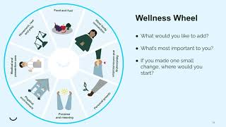 Lemonaid Wellness Wheel [upl. by Mattias]