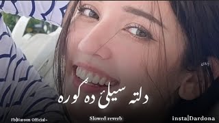 Dalta selai da Gora dalta ba Gul na spareTikTok viral song slow and reverb poshto trinding song [upl. by Mauralia]