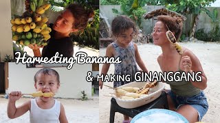 Harvesting our bananas for merienda GINANGGANG [upl. by Lasala]