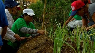 Cómo implementar un Sistema de Agroecología  TvAgro por Juan Gonzalo Angel [upl. by Nainatrad]