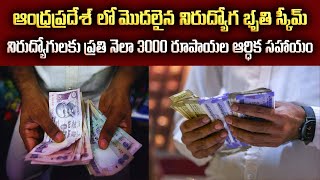 Nirudyoga Bruthi How Andhra Pradeshs ₹3000 Unemployment Scheme Helps Youth [upl. by Enehs355]