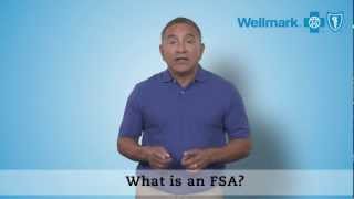 Understanding FSAs [upl. by Anhcar]