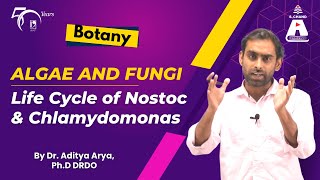 Algae and Fungi  Life Cycle of Nostoc and Chlamydomonas  Botany  S Chand Academy [upl. by Ursala]