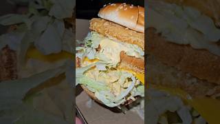 NEW Official Mcdonalds CHICKEN BIG MAC REVIEW Is it really that good🤔 food [upl. by Reece]