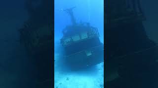 Wreck  Mexico  Playa del Carmen  Dive [upl. by Ardnossac]