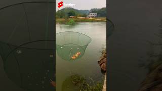 Fishing Trap 🪤 🤩  New Viral Gadgets Smart Appliances Kitchen Utensils Home Inventions shorts​ [upl. by Edik]