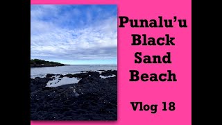 Punaluu Black Sand Beach  Big Island Hawaii Vlog 18 [upl. by Switzer243]