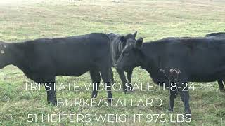 TRI STATE VIDEO SALE 11824 AT 1PM [upl. by Eugenle128]