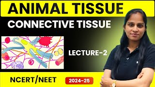 Connective Tissue  Animal Tissue  NEET 202425  Lecture 2 [upl. by Nishom]