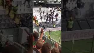 La torcia lanciata verso i tifosi del Cesena dalla curva dellAncona [upl. by Loats]