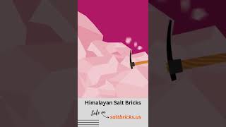 Himalayan salt therapy and health benefits shorts health halotherapy pinksalt himalayanpinksalt [upl. by Steve695]