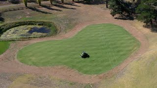 How To Remove Seed Head from Your Lawn  PGR on Lawns [upl. by Darom]