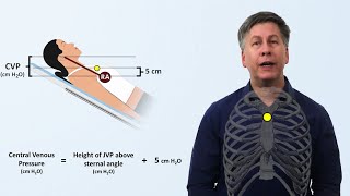 Hemodynamics [upl. by Eidoj]