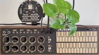 Modular  Eurorack Music  Fairyland [upl. by Jewelle]