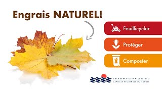 Conseils  profitez dun engrais naturel avant lhiver [upl. by Anivel39]