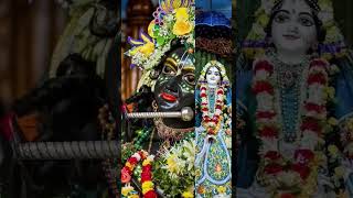 Prabhu ap mujhe Darshan de 🙏🏻  premanandjimaharaj krishna krishnastatus sagnikadevotional [upl. by Dolloff]