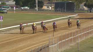 Bundaberg 20240831 Race 5 [upl. by Bobette]