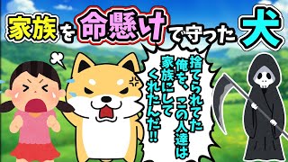 捨て犬を家族に迎えた。するとその犬は、幼い娘を守るために命を懸けて戦ってくれた 【感動する話】     2ch 犬 猫 [upl. by Lubba842]