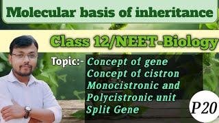 Molecular basis of inheritancePart 20Concept of Gene amp cistron class12 neet biology ncert [upl. by Eiduj]