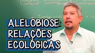 O que é Alelobiose  Extensivo Biologia  Descomplica [upl. by Myrtia]