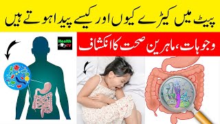 Pitman worms  bacteria in stomach  پیٹ مین کیڑے  pitamain keede  Urdu Hindi Health TV [upl. by Collum]