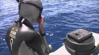 Submerged Freediving Documentary [upl. by Eeruhs]