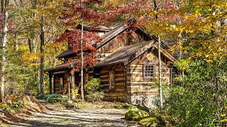 The Cabin at Squirrel Creek [upl. by Raimund]