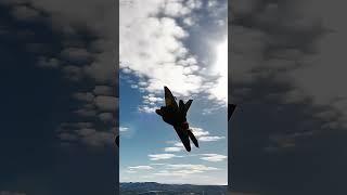 F22 RAPTOR vs MIRAGE F1AD DOGFIGHT2 dcs [upl. by Tia]