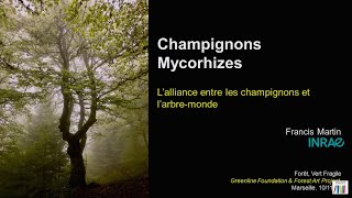 Champignons et mycorhizes [upl. by Allimrac]