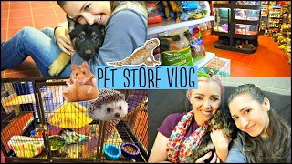 PET STORE VLOG  Hamsters Hedgehogs Reptiles and More [upl. by Wilsey17]