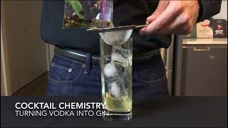 Advanced Techniques  Turning Vodka Into Gin [upl. by Venator]