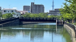 釣り場偵察 東京都江戸川区 新川 クロダイ、ハゼ、シーバス [upl. by Eirelav]