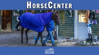 Breeders Cup 2024 Top Picks and Long Shots on HorseCenter [upl. by Nicolais589]