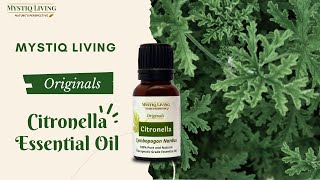 What is Citronella Essential Oil Used For [upl. by Saire691]