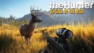 the hunter call of the wild gold huntlivestream [upl. by Ahseined]