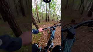 TRAIL TORNANTI FACCIAMO UN 2 CURVE mtb insta360 fvglive naturaltrail enduromtb [upl. by Heddie]