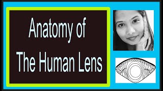 Lens Anatomy Complete Lecture  Structure  Development  Layers Transparency  Human eye [upl. by Sagerman191]