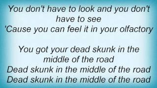 Loudon Wainwright Iii  Dead Skunk Lyrics [upl. by Siuluj198]