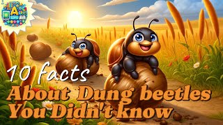 The 10 Most Amazing Facts About Dung beetles  Interesting Facts  Animal and insect facts 2024 [upl. by Housen229]