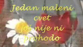 Jedan maleni cvet Branko Miljkovic poezija [upl. by Ebony]