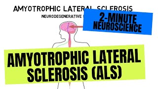 2Minute Neuroscience Amyotrophic Lateral Sclerosis ALS [upl. by Nolubez]