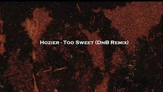 Hozier  Too Sweet DnB Remix [upl. by Ainesej]